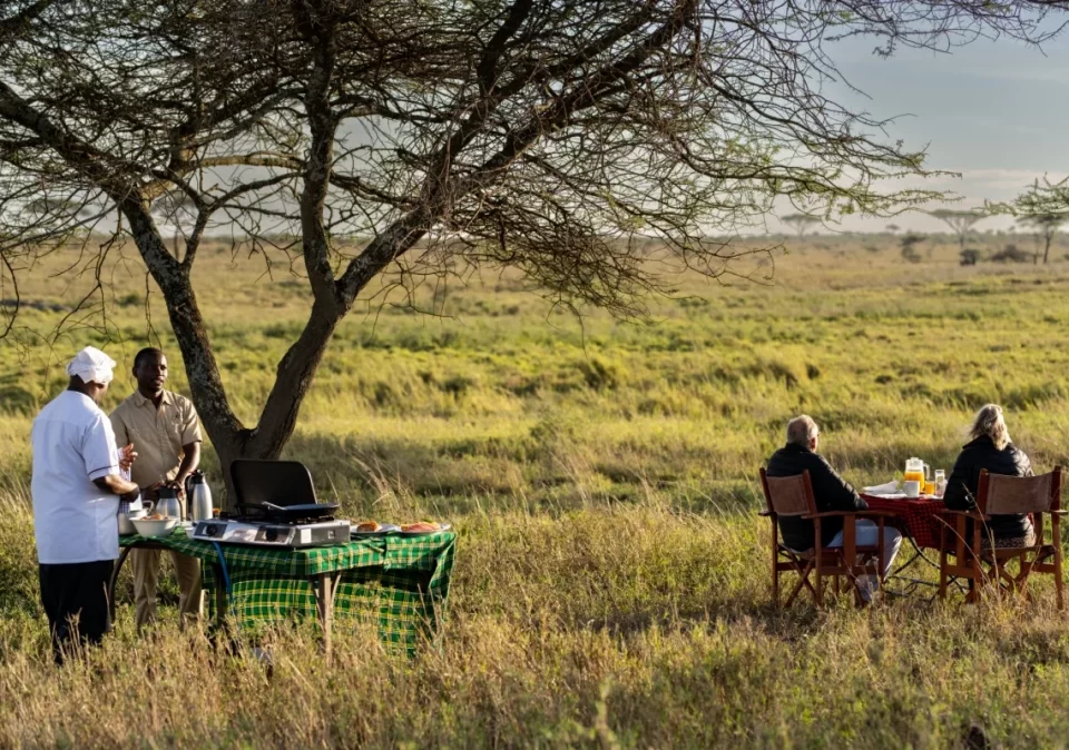 destination-discover-bush-breakfast-1200x800