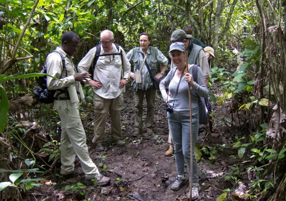 destination-discover-mahale-chimp-tracking-1200x800