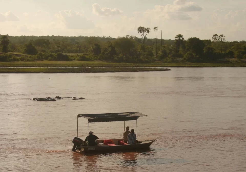 destination-discover-ruaha-boat-safari-1200x800