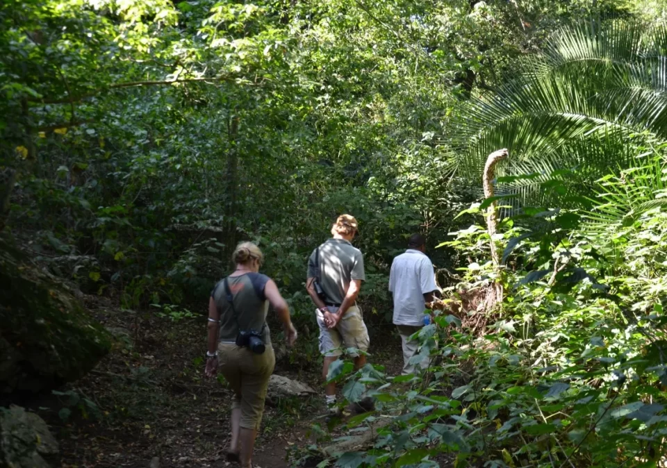 destination-discover-rubondo-walk-1200x800