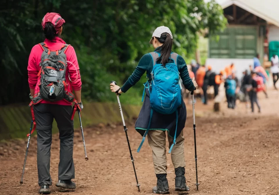 destination-discovery-kilimanjaro-trek-1200x800