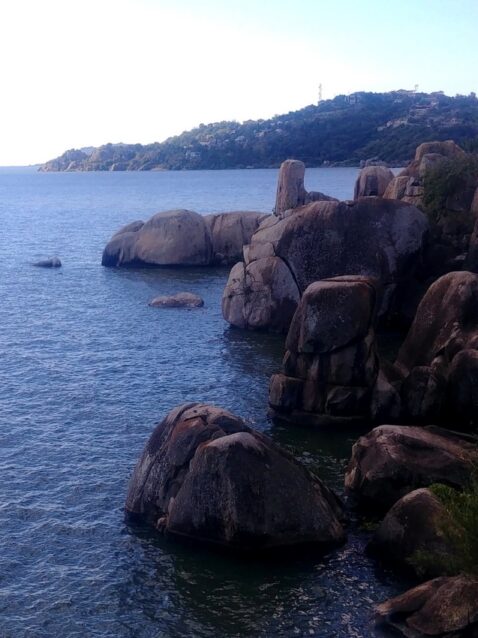 destination-featured-saanane-island-1170x850
