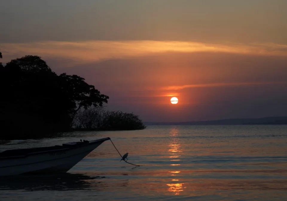 destinaton-discover-rubondo-sunset-1200x800