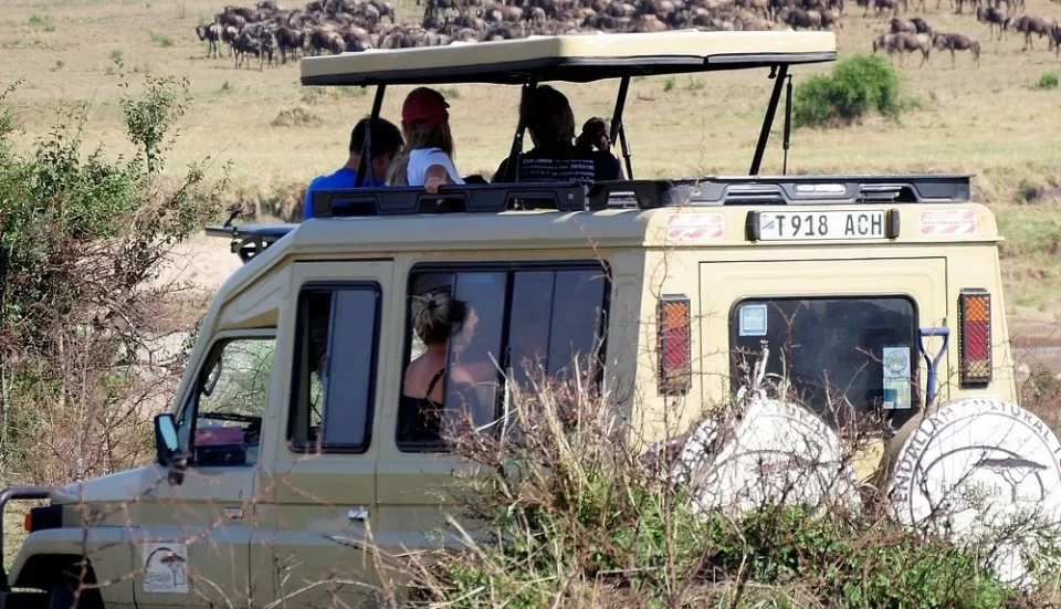 game drive
