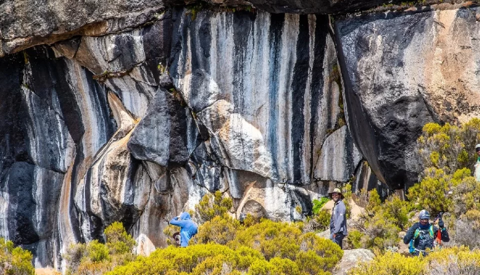 trip-ideas-mt.kilimanjaro-trek-zebra-rocks