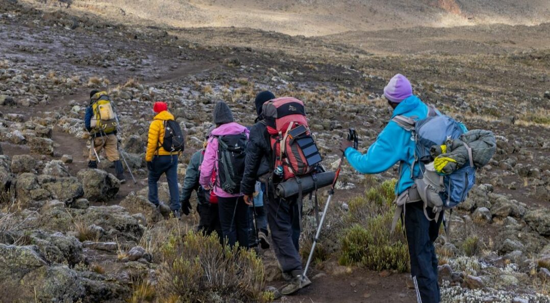 8 Days Kilimanjaro trek- Lemosho Route via Stella Point