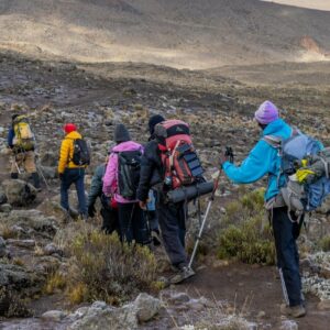 8 Days Kilimanjaro trek- Lemosho Route via Stella Point
