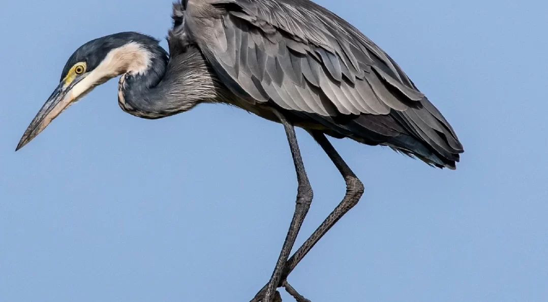 Lake Manyara National Park