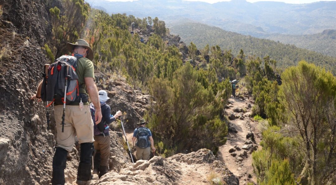 7 days via the iconic Machame Route