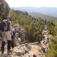 7 days via the iconic Machame Route