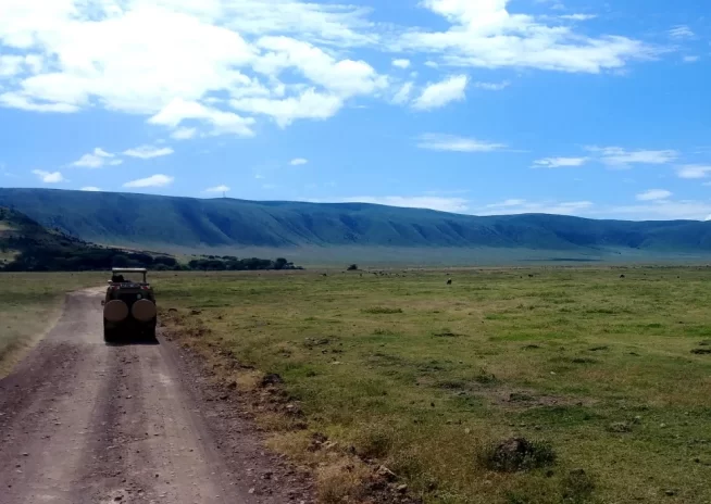 8 Days Great Migration Mara River