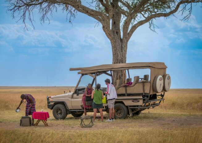 trip-page-itinerary-serengeti-game-drive-970x722