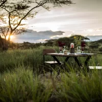 The Ultimate 16-Day Tanzania Adventure