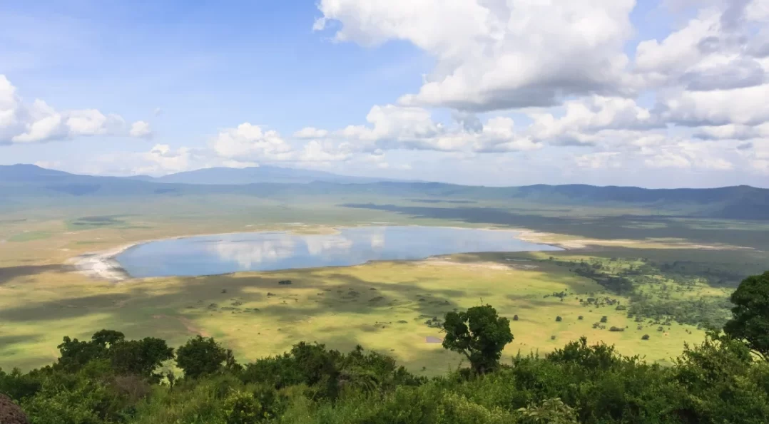 Ngorongoro Crater Day Trip