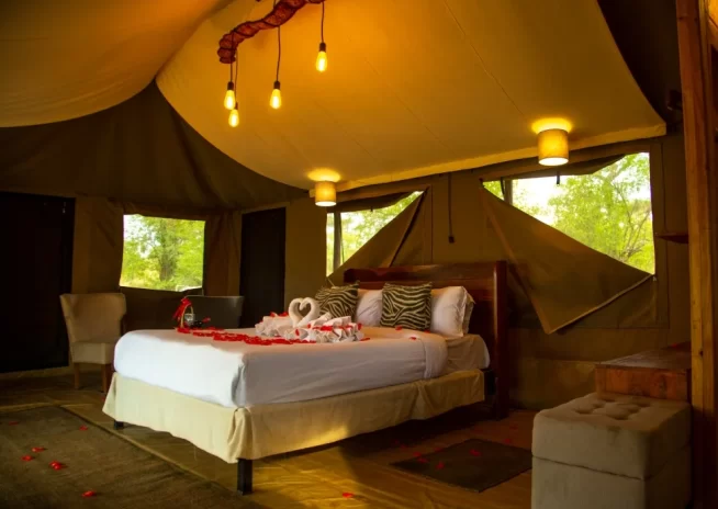 The Ultimate 16-Day Tanzania Adventure