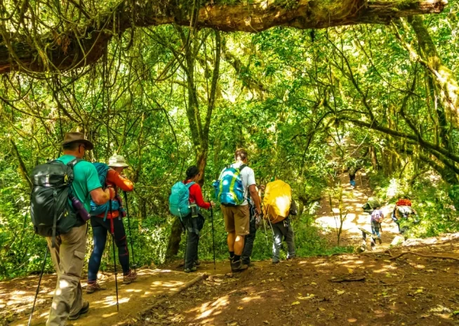 Marangu Route 6 Days and 5 Nights
