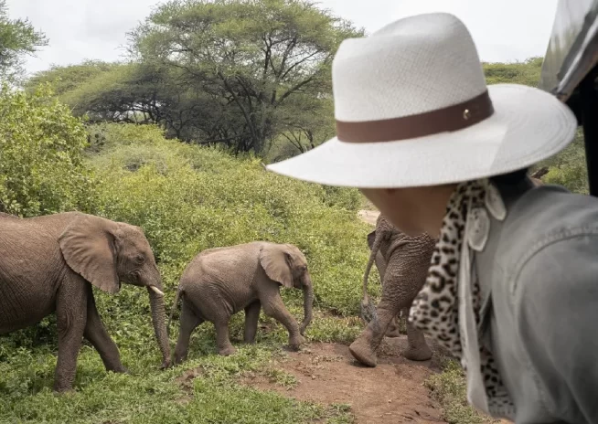 8 Days Great Migration Mara River