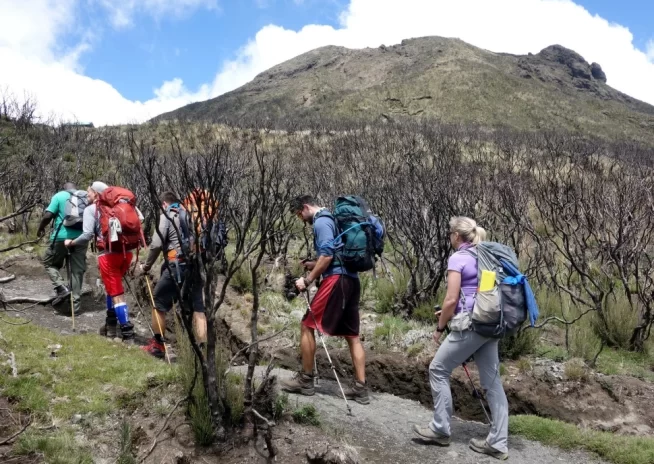 5 Days Mount Meru Trekking Adventure