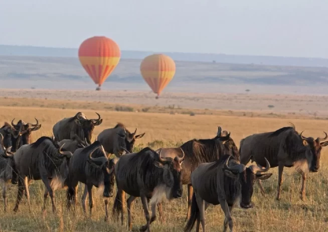 Central Serengeti
