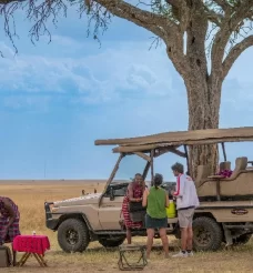 Northern Circuit Safaris – The Crown Jewel of Wildlife Adventures