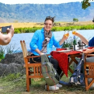 perfect safari