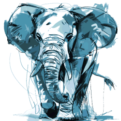 hp-elephant-head-blue