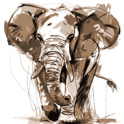 hp-elephant-head-red