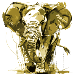 hp-elephant-head-yellow